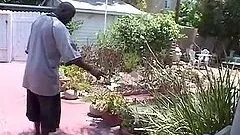 Rachael Rains the slutty MILF having wild interracial sex