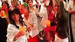 Super Horny Sluts Suck Big Cocks At a Bonerific Interracial CFNM Party