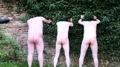 Mistress Vixen - Wall whipped