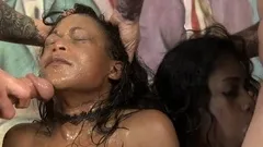 CIMA black and ebony