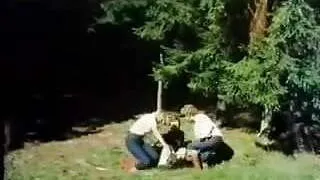 vintage 70s german - Robin Hood, Raecher der Besamten - cc79