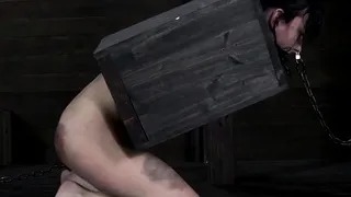 Caged up beauty is coercive to give dude wild cock engulfing