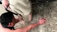 Femdom fetish mistresses fuck bdsm loser with strapon