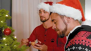 Hardcore gay sex in the morning between two handsome lovers