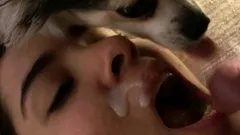 Japanese teen blowjob and hard fuck uncensored