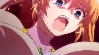 Mix of Hentai movs from Hentai Niches