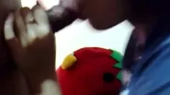 indonesia- hisap kontol sebelum doggy