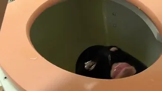toilet slave get piss in face and milking