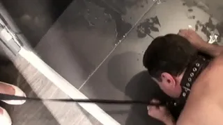 cuckold toilet humiliation