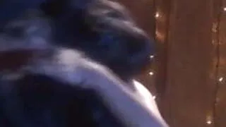 Dance of passion...by Angelo Luna