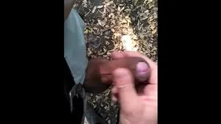 helping hand in park