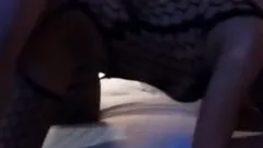 levrette en combi resille