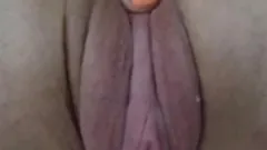 Searching The Perfect PussyLips