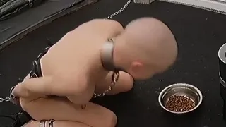 Pee drinking piss fetish babe solo plays with bottle