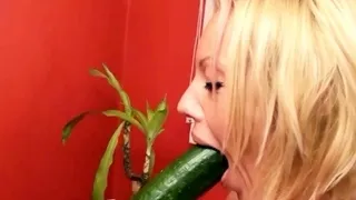 GERMAN HOOKER KADA CUCUMBER AND CLIENT FUCK IN BROTHEL