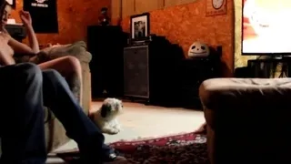 Omegle Cum Together With Amateur Camgirl