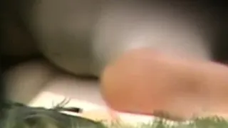 Amateur fucking while on hidden cam