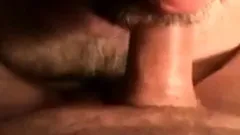 Daddy bear sucking cock