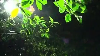 Lesbian sorority pussylicking and toying