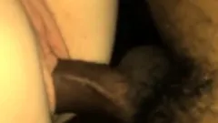 Cuckold Girl Breeds Sweaty Bull