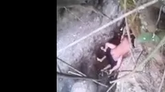 Caught Fucking In A Stream