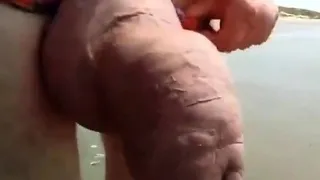 Meat Monster Elephant Beach Walk