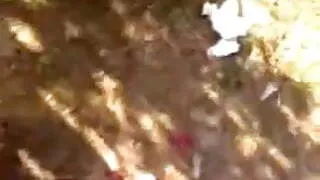 mature big ass outdoor