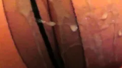 Tights, arse, spunk. Collant, culo, sborra.