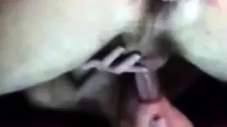 Amateur - Pegging Cumshots Cumpilation with CIMs