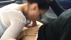 Leder Beauties - Bostero