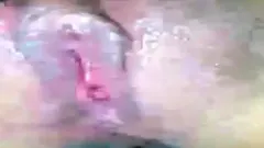 asian amateur pussy webcam