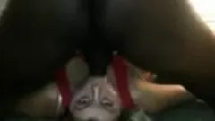 Amateur BBC facefuck