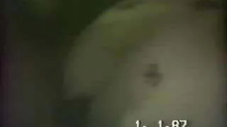 BBC (Ayam Hitam Besar)