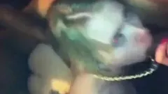 MY WIFE'S SISTER. BRITISH BBC THREESOME