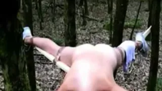 impaled slave pussy in nature