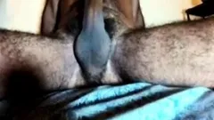 Horny hairy amateur wife cowgirl lapdance rides my cock