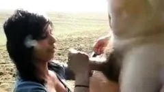 Fucking under the hot sun