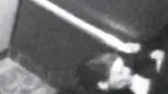 Couple gets kinky in the elevator