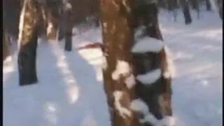 My girlfriend naked in winter forest