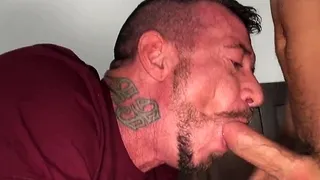 Cocksucking bear bareback drilled on the bed