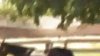 Punk'd Simple Life Parody - Fucking Family