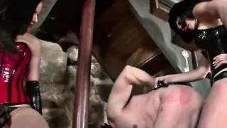 Only for Femdom Lovers!