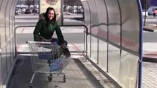 Public blowjob session with a busty honey