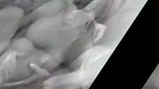 Robster75's Cumshot Compilation #1