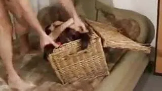 Flexible gymnast gets fucked and does oral job deep