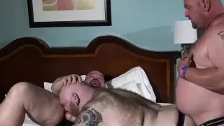 I Dream Of Daddy Bears