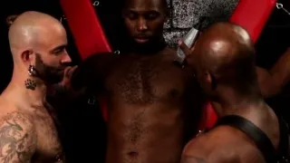 Buff ebony assfucking in interracial threeway