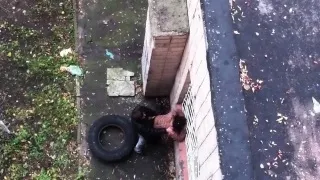 Amateur couple caught fucking outdoors