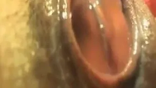 Close Up Of A Pussy Being Toyed With