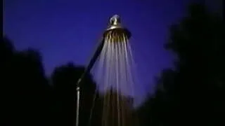 hairy vintage collection